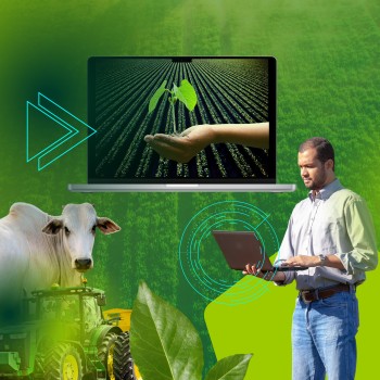 Software Administração Rural em Divinésia