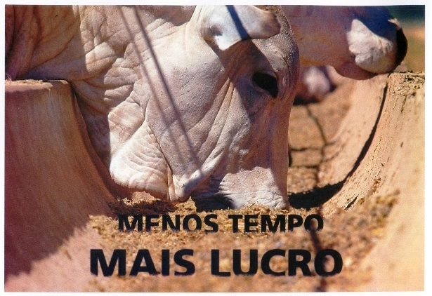 Menos tempo, mais lucro