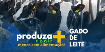 Formulação de Ração para Gado Leiteiro